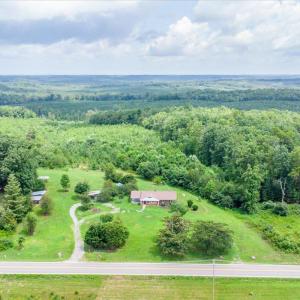 Photo #4 of 13464 Patrick Henry Highway, Brookneal, VA 23.9 acres