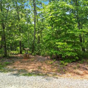 Photo #65 of 1720 Gallows Road, Gretna, VA 14.6 acres