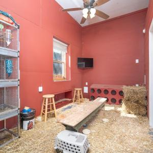 Photo #51 of 7505 Timberlake Road, Lynchburg, VA 5.5 acres