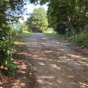Photo #9 of 4159 Bedford, Lynch Station, VA 86.0 acres