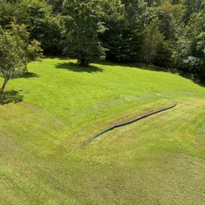 Photo #69 of 384 Reservoir View Drive, Pittsville, VA 5.2 acres