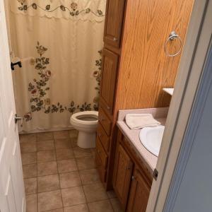 Photo #33 of 384 Reservoir View Drive, Pittsville, VA 5.2 acres