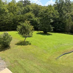 Photo #77 of 384 Reservoir View Drive, Pittsville, VA 5.2 acres