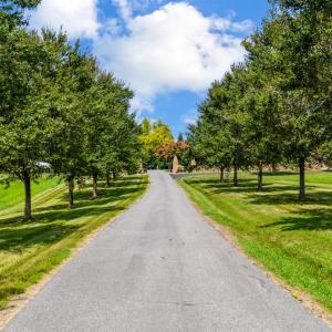 Photo #76 of 11580 East Lynchburg Salem Turnpike, Forest, VA 35.0 acres