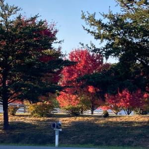 Photo #86 of 1213 Toms View Drive, Bedford, VA 5.7 acres