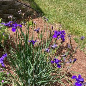 Photo #93 of 1213 Toms View Drive, Bedford, VA 5.7 acres