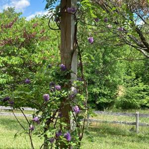 Photo #94 of 1213 Toms View Drive, Bedford, VA 5.7 acres