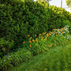Photo #67 of 3889 Peakland Place, Lynchburg, VA 0.4 acres