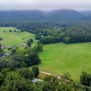 Photo #47 of 56 Spec Mine Road, Buchanan, VA 2.9 acres