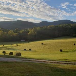 Front Porch Views!!