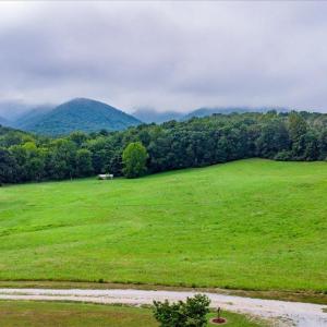 Photo #44 of 56 Spec Mine Road, Buchanan, VA 2.9 acres