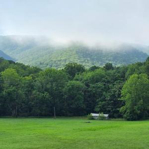 Photo #41 of 56 Spec Mine Road, Buchanan, VA 2.9 acres