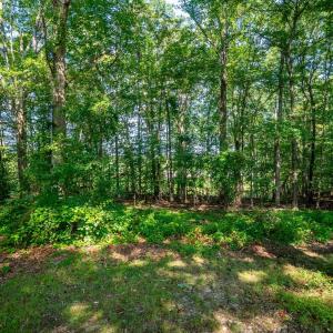 Photo #47 of 1604 Avondale Drive, Altavista, VA 0.5 acres