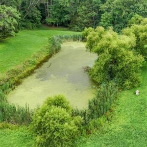 Photo #56 of 1099 Toni Lane, Forest, VA 2.2 acres