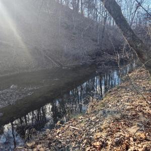 Photo #34 of 5253 Pigeon Run Road, Gladys, VA 15.0 acres