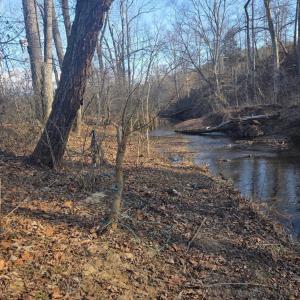 Photo #33 of 5253 Pigeon Run Road, Gladys, VA 15.0 acres