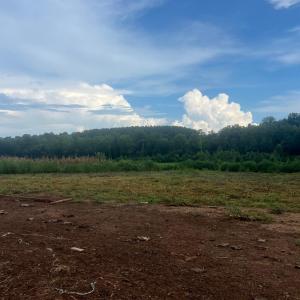 Photo #17 of 5253 Pigeon Run Road, Gladys, VA 15.0 acres