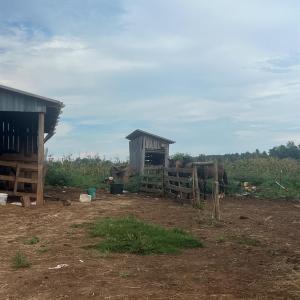 Photo #21 of 5253 Pigeon Run Road, Gladys, VA 15.0 acres