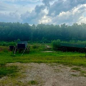 Photo #32 of 5253 Pigeon Run Road, Gladys, VA 15.0 acres