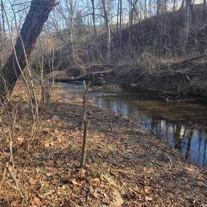 Photo #35 of 5253 Pigeon Run Road, Gladys, VA 15.0 acres