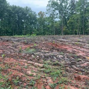 Photo #5 of 21 Saunders Point Road, Huddleston, VA 0.5 acres