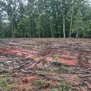 Photo #4 of 21 Saunders Point Road, Huddleston, VA 0.5 acres