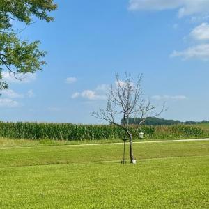 Photo #32 of 1281 Lone Oak Crossing, Huddleston, VA 0.6 acres