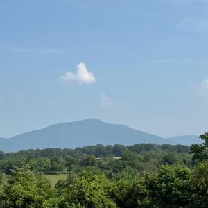 Photo #21 of 1510 Nichols Road, Bedford, VA 1.0 acres