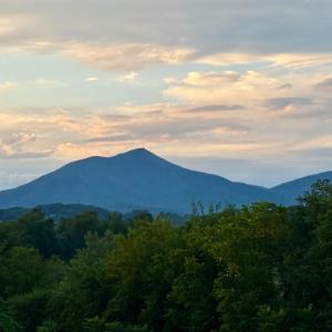 Photo #19 of 1510 Nichols Road, Bedford, VA 1.0 acres