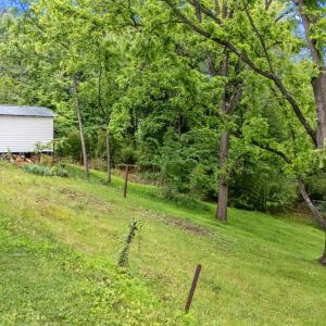 Photo #39 of 147 Maple Drive, Madison Heights, VA 0.6 acres