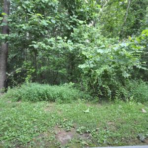 Photo #23 of 300 McConville Road, Lynchburg, VA 0.0 acres