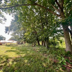 Photo #43 of 4526 PIGEON RUN Road, Gladys, VA 4.0 acres