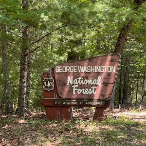 Photo #25 of 2785 Pera Road, Monroe, VA 2.1 acres