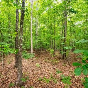 Photo #56 of 175 Tracie Drive, Altavista, VA 19.9 acres
