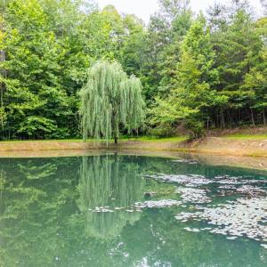 Photo #63 of 175 Tracie Drive, Altavista, VA 19.9 acres