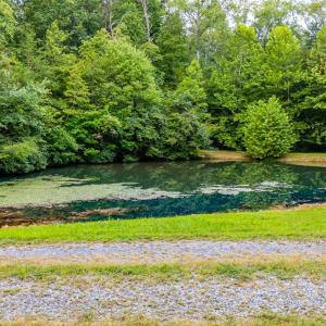 Photo #62 of 175 Tracie Drive, Altavista, VA 19.9 acres