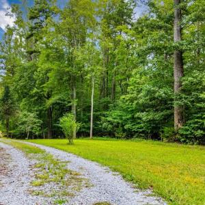 Photo #68 of 175 Tracie Drive, Altavista, VA 19.9 acres