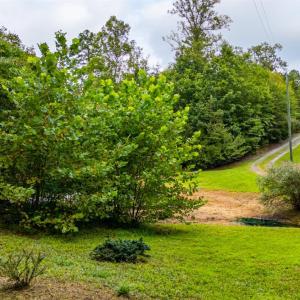 Photo #66 of 175 Tracie Drive, Altavista, VA 19.9 acres