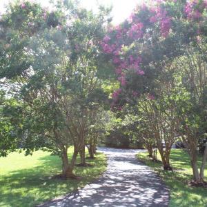 Photo #74 of 19322 Wyatts Way, Evington, VA 21.7 acres