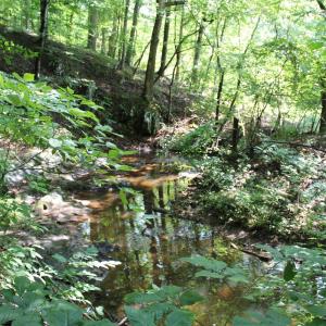 Photo #78 of 19322 Wyatts Way, Evington, VA 21.7 acres