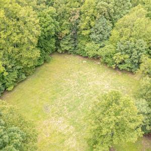 Photo #71 of 19322 Wyatts Way, Evington, VA 21.7 acres
