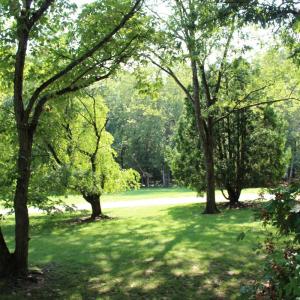 Photo #77 of 19322 Wyatts Way, Evington, VA 21.7 acres