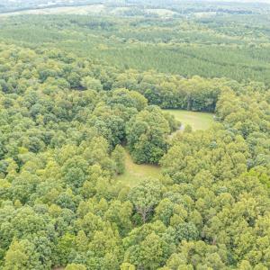 Photo #65 of 19322 Wyatts Way, Evington, VA 21.7 acres