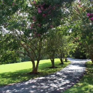 Photo #75 of 19322 Wyatts Way, Evington, VA 21.7 acres
