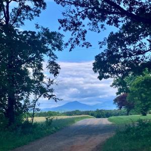 Photo #63 of 1690 Regal Road, Bedford, VA 1.3 acres