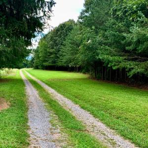 Photo #58 of 1690 Regal Road, Bedford, VA 1.3 acres