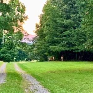 Photo #56 of 1690 Regal Road, Bedford, VA 1.3 acres