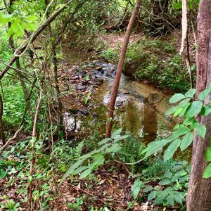 Photo #59 of 1690 Regal Road, Bedford, VA 1.3 acres