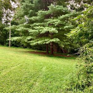 Photo #61 of 1690 Regal Road, Bedford, VA 1.3 acres