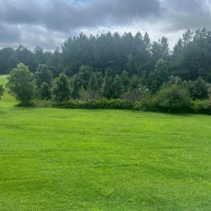 Photo #18 of 2135 Spring Garden Road, Chatham, VA 5.1 acres